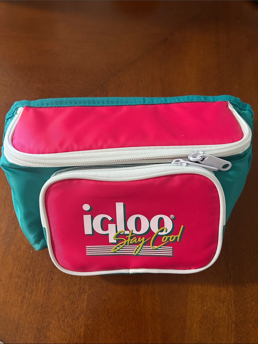 Igloo Pink and Teal Soft Cooler Bag Fanny Pack